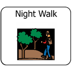 Night Walk